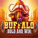 Buffalo Hold And Win